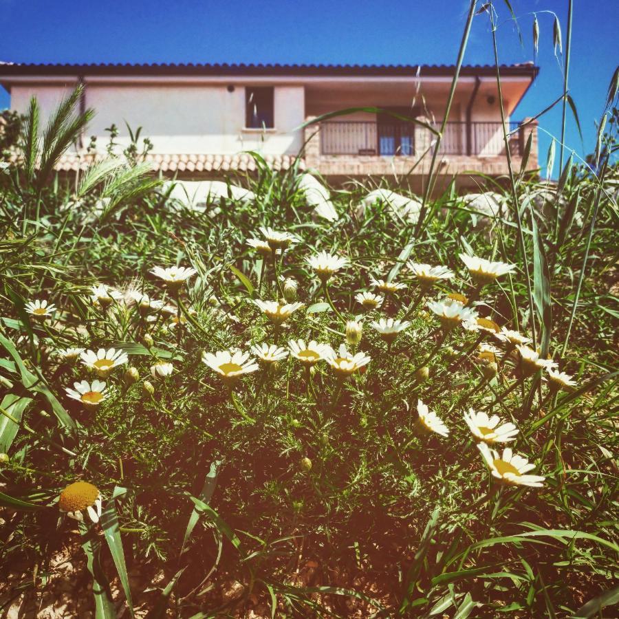 Casale Del Sole Bed & Breakfast Cepagatti Dış mekan fotoğraf