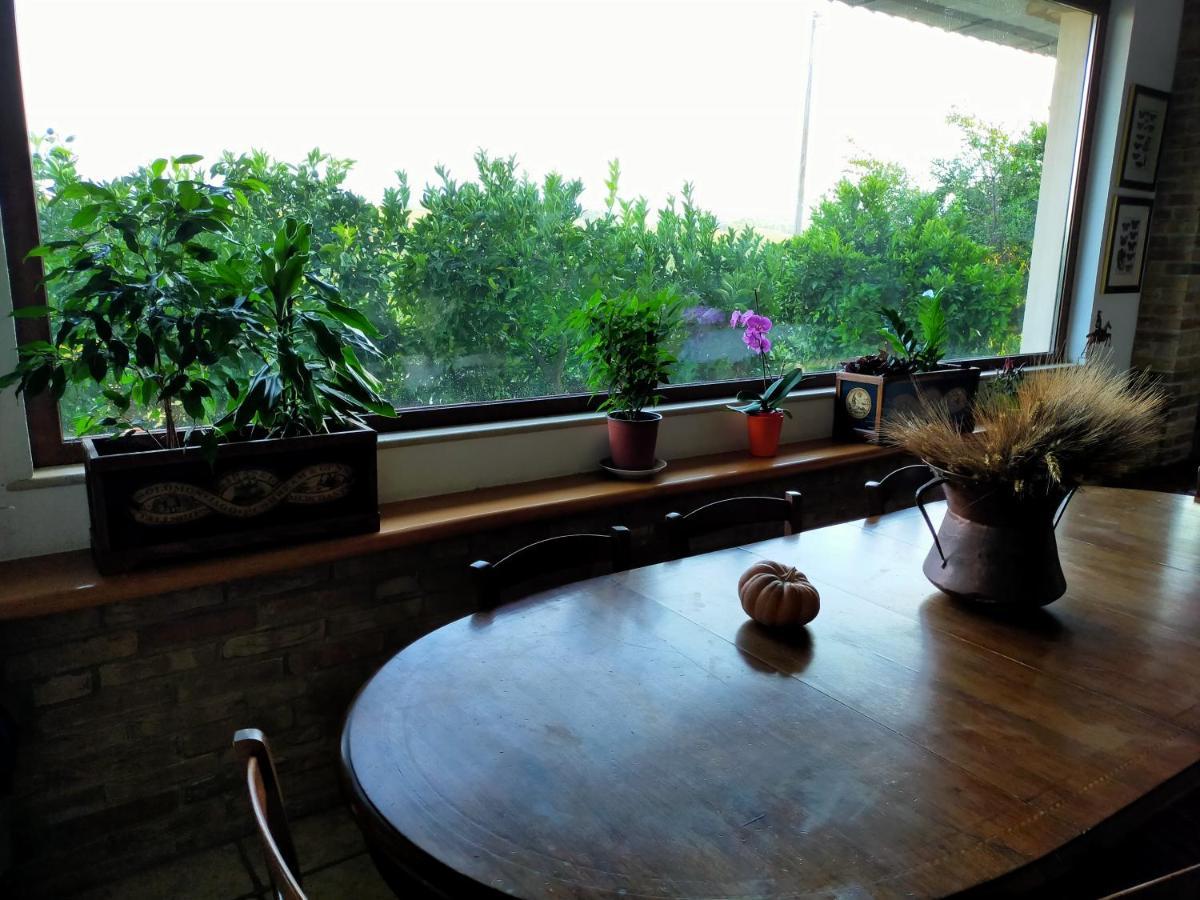 Casale Del Sole Bed & Breakfast Cepagatti Dış mekan fotoğraf