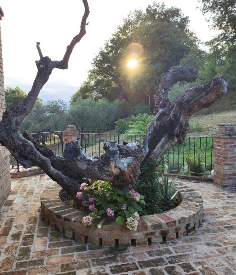 Casale Del Sole Bed & Breakfast Cepagatti Dış mekan fotoğraf