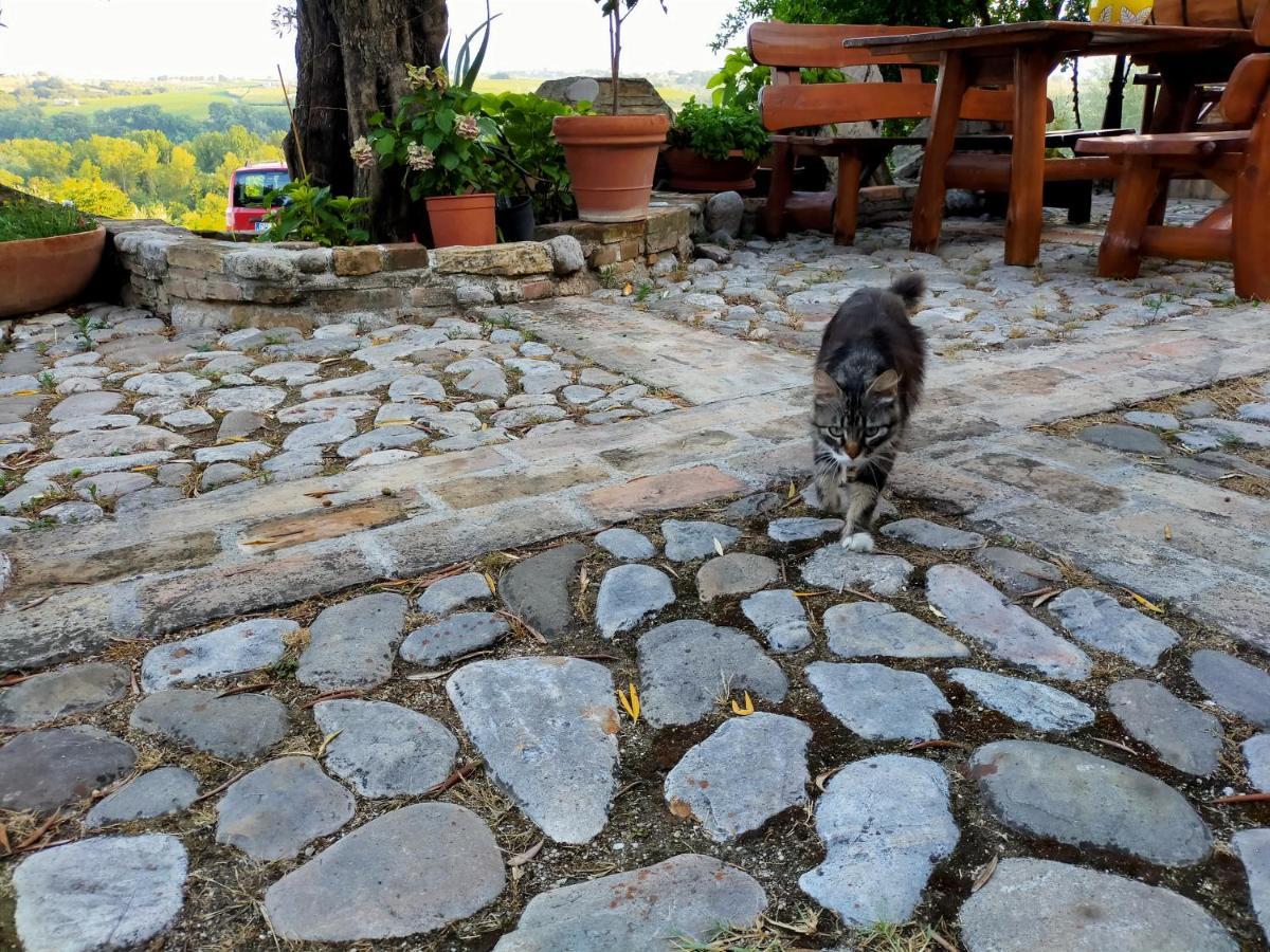 Casale Del Sole Bed & Breakfast Cepagatti Dış mekan fotoğraf
