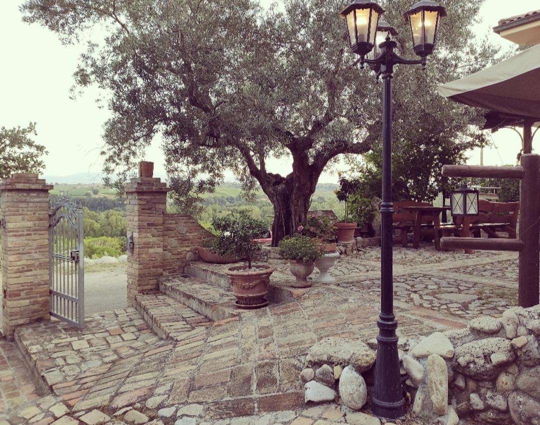 Casale Del Sole Bed & Breakfast Cepagatti Dış mekan fotoğraf