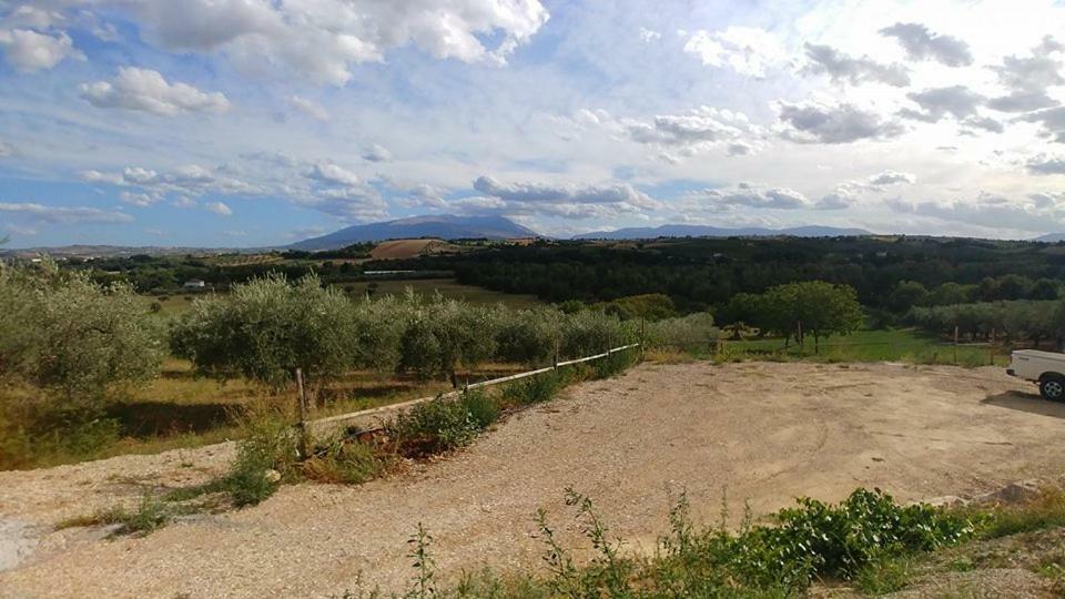 Casale Del Sole Bed & Breakfast Cepagatti Dış mekan fotoğraf