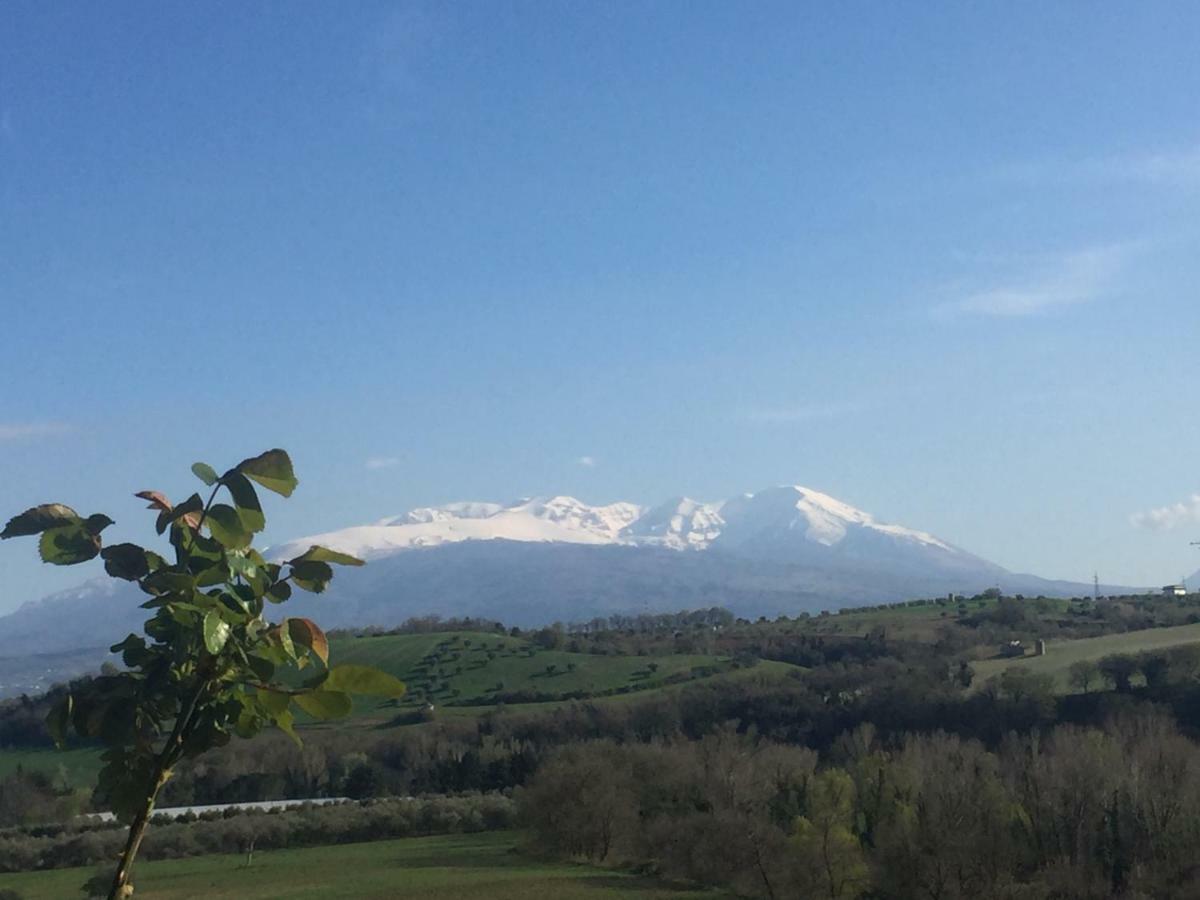 Casale Del Sole Bed & Breakfast Cepagatti Dış mekan fotoğraf